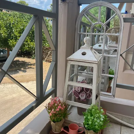 Daisy's One-bedroom Apartment Tolo